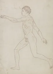 Study of the Human Figure, Lateral View