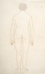 Study of the Human Figure, Posterior View, from A Comparative Anatomical Exposition of the Structure of the Human Body with that of a Tiger and a Common Fowl, c.1795-1806