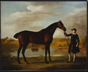 The Duke of Marlborough