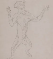 Tiger Body, Standing in Human Posture