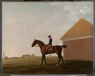 Turf, with Jockey up, at Newmarket