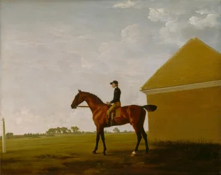 Turf, with Jockey up, at Newmarket