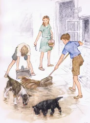 It was a merry job, from Pets Limited published by Collins