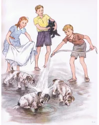 Washing the dogs, from Pets Limited published by Collins