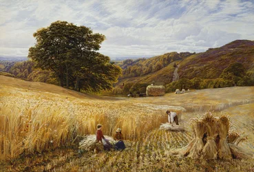 Harvest Time Near Holmbury Hill, Surrey