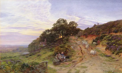 Pitch Hill near Ewhurst