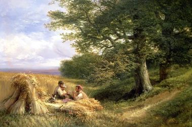 The Harvesters