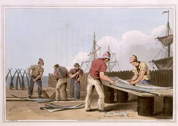 Whalebone Scrapers, Engraved by Robert Havell the Elder, Published 1814 by Robinson and Son, Leeds