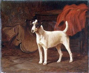 A Jack Russell Standing Poised in a Tack Room