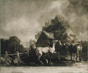 Stallion and Mare, engraved by George Townley Stubbs, 1776