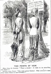 Cartoon Commenting on the Protection of Birds Act 1880