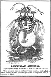 Darwinian Ancestor