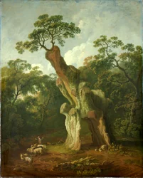 View of the Greendale Oak in Welbeck Park