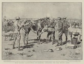 With Colonel Baden-Powell in Mafeking, Inspecting the Sick Horses