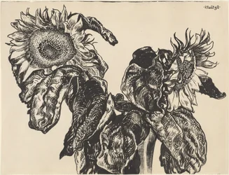 Sunflowers