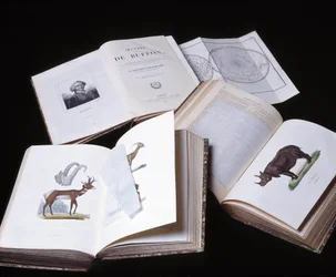Still life of the 