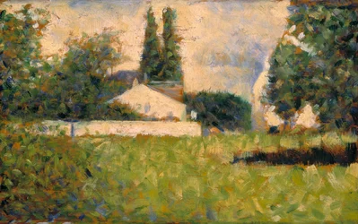 House among Trees
