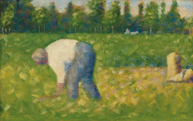 Peasant Working