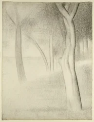 Trees