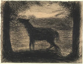 Foal (Le Poulain)