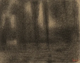 Poplars