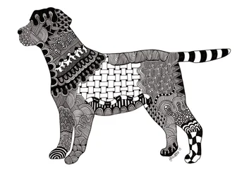 Labrador, 2015