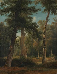 A Forest at Fontainebleau