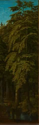 View in a Forest, c.1505-1515