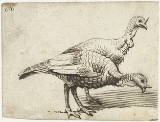 Two Turkeys