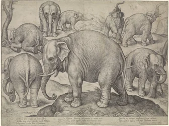 Eight Elephants
