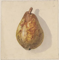 Pear