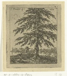 Landscape with Beech and Hunter