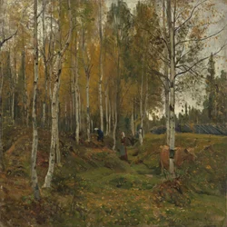 Birch Trees in Autumn