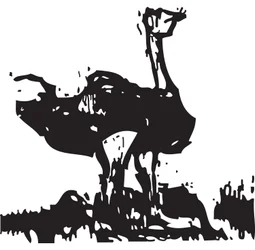 Ostrich