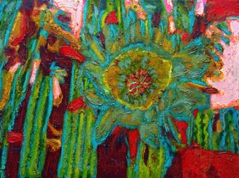 San Pedro Cactus Flower