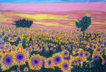 Sunflower Field, 2024