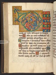 Add. 60629, f.43v Large framed initials in gold and colours with foliate and sometimes zoomorphic and anthropomorphic ornament