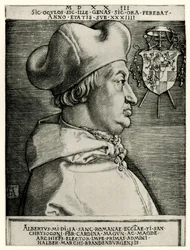 Albrecht of Brandenburg