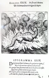 As the Salamander lives in fire, so also the Stone, Emblem XXIX from Atalanta fugiens by Michael Maier, 1617