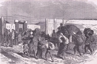 Bringing in vegetables from the suburbs