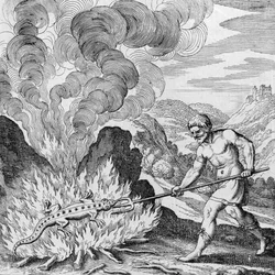 Burning a Salamander from Musaeum Hermeticum