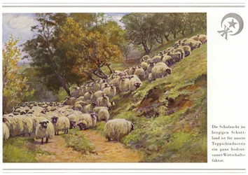 Business of carpet manufacturers Halbmond-Teppichfabrik Von Koch Und Te Kock