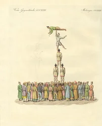 Chinese Bateleus