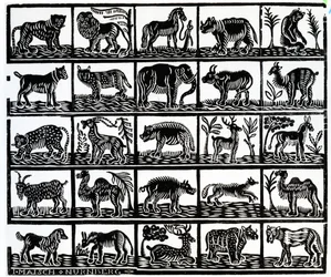 Collection of Animals