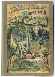 Cover of Naturgeschichte, Geologie, Mineralreich, Palaontologie by Dr. H. von Schubert