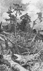 Effects of a Hurricane
