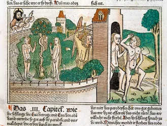 Adam and Eve in Paradise, Scene in the Bible