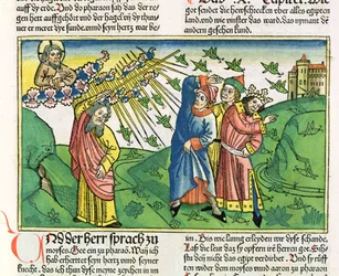 Exodus 10:1-20 The Seven Plagues of Egypt: the plague of locusts, from the Nuremberg Bible