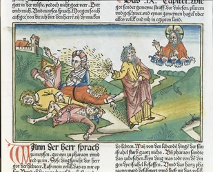 Exodus 9:8-12 The Seven Plagues of Egypt: Moses and the plague of boils, from the Nuremberg Bible