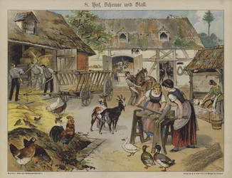 Farm